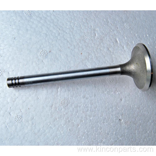 Engine Valves 226B